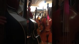 1955 Hoyer Kontrabass, Upright bass 3/4 with Slappin’ B Gut strings – VERKAUFT!