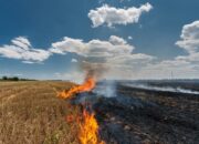 Dream Meaning of Burning Fields
