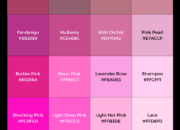 Dream Meaning of The Color Pink