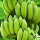 Dream Meaning of Green Banana