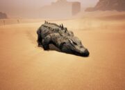 Dream Meaning of A Crocodile