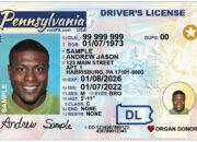 Dream Meaning of License