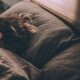 Dream Meaning of Seeing Dead Relative Alive