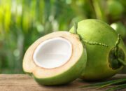 Dream Meaning of Coconut