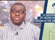 Dream Meaning of Seeing A Mad Person