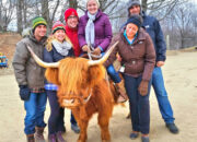 Dream Meaning of Riding A Cow