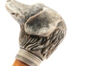 Dream Meaning of Dog Head On Stick