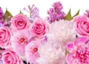 Dream Meaning of Pink Flowers