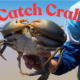 Dream Meaning of Catching Crabs
