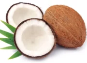 Dream Meaning of Coconut In Hindi