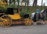 Dream Meaning of Horse Carriage