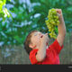 Dream Meaning of Eating Grapes