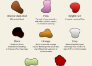 Dream Meaning of Seeing Period Blood