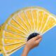Dream Meaning of Hand Fan