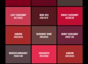Dream Meaning of The Color Burgundy