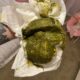 Dream Meaning of Poopy Diaper