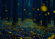 Dream Meaning of Seeing Firefly