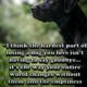 Dream Meaning of Your Dog Who Has Passed Away