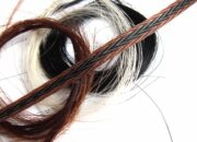Dream Meaning of Horsehair