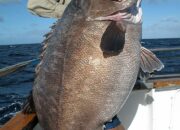Dream Meaning of Catching A Big Fish