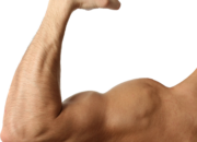 Dream Meaning of Right Arm