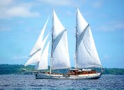 Dream Meaning of Sails