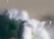 Dream Meaning of Losing Your Child