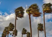 Dream Meaning of High Winds