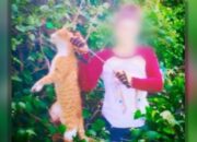 Dream Meaning of Killing A Cat
