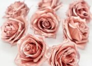 Dream Meaning of Rose Gold