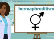 Dream Meaning of Hermaphrodite