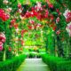 Dream Meaning of Garden