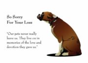 Dream Meaning of Losing Your Dog