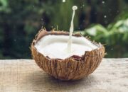 Dream Meaning of Coconut Milk