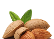 Dream Meaning of Almond Fruit