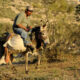 Dream Meaning of Riding A Donkey