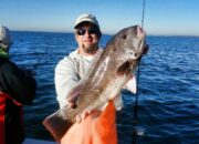 Dream Meaning of Big Black Fish