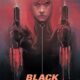 Dream Meaning of A Black Widow