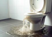 Dream Meaning of Toilet Overflowing