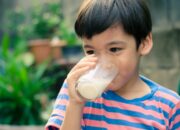 Dream Meaning of Drinking Milk