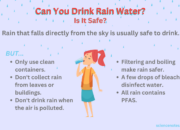 Dream Meaning of Drinking Rain Water