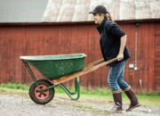 Dream Meaning of Pushing Wheelbarrow