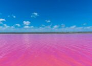 Dream Meaning of Pink Water