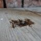 Dream Meaning of Hole In Floor