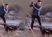 Dream Meaning of Killing A Dog