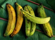 Dream Meaning of Plantain