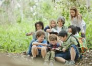 Dream Meaning of Going On A Field Trip