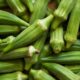 Dream Meaning of Okra