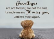 Dream Meaning of Saying Goodbye To Someone
