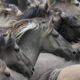 Dream Meaning of A Horse